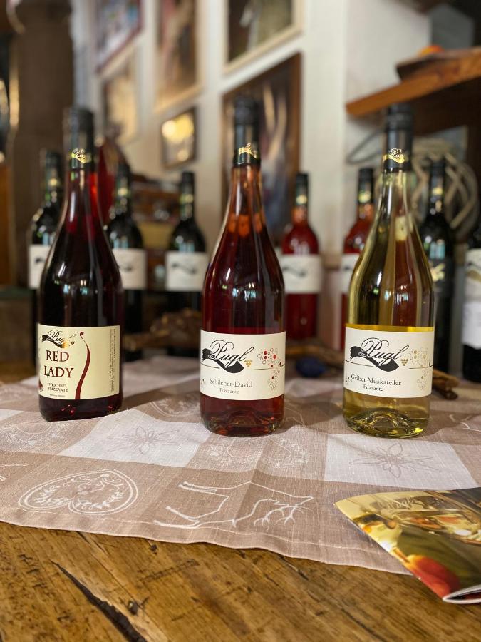 Weingut Pugl Lejlighed Leibnitz Eksteriør billede